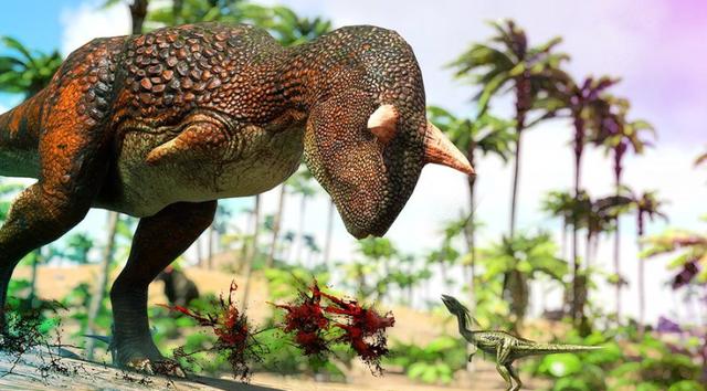 方舟生存进化灭绝的十种生物(灭绝的鸟类是如何生存的)
(图3)