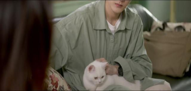 狩猎犯罪图解事件集(18个狩猎犯罪图解细节)
(图4)