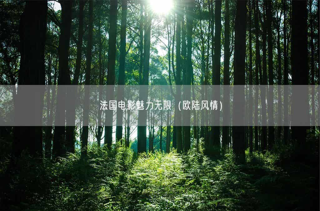 法国电影魅力无限（欧陆风情）(图1)