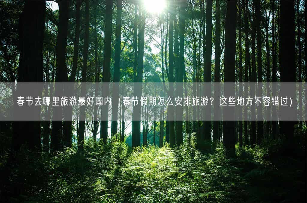 春节去哪里旅游最好国内（春节假期怎么安排旅游？这些地方不容错过）(图1)