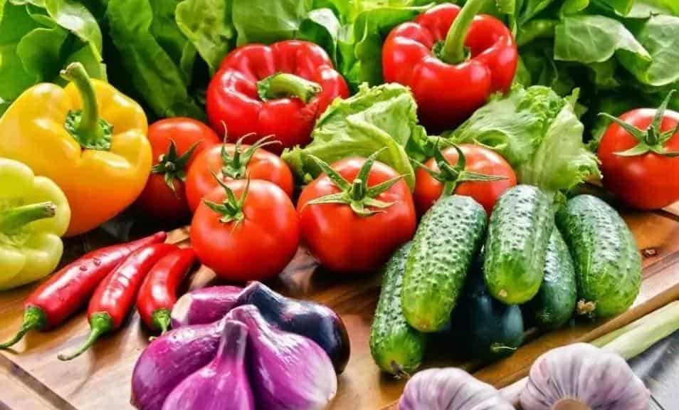 农村值得一试的5大项目（农村有什么好的项目）(图2)