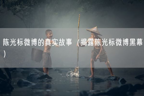 陈光标微博的真实故事（揭露陈光标微博黑幕）(图1)