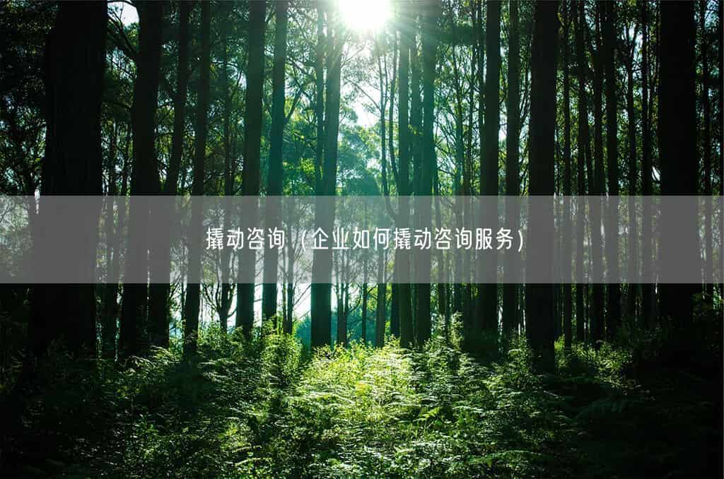 撬动咨询(企业如何撬动咨询服务)(图1) 撬动咨询(企业如何撬动咨询服务)(图1)