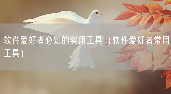 软件爱好者必知的实用工具(软件爱好者常用工具)(图1) 软件爱好者必知的实用工具(软件爱好者常用工具)(图1)