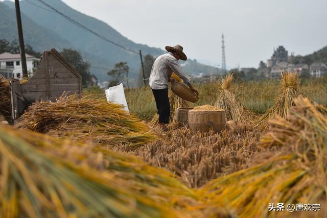 农民工赚不到钱 今年还进厂吗（农民打工路茫茫）(图3)