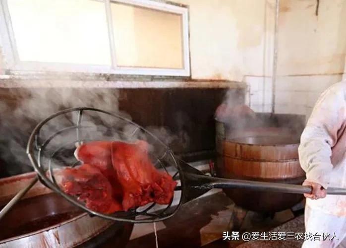 分享五个低成本高收益项目，想赚钱的别错过(图5)