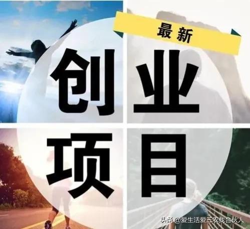 分享五个低成本高收益项目，想赚钱的别错过(图11)