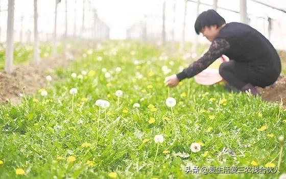 分享五个低成本高收益项目，想赚钱的别错过(图9)