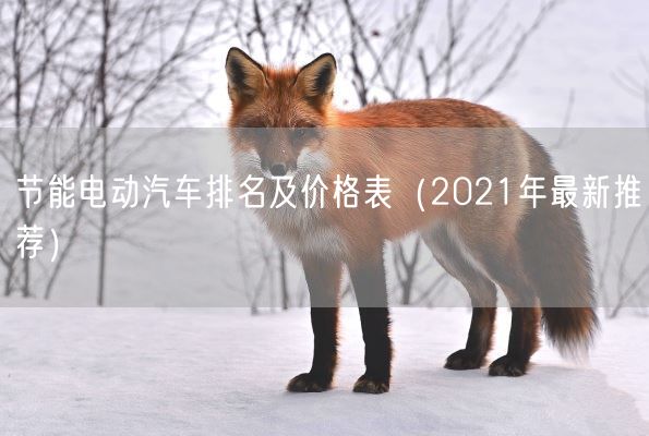 节能电动汽车排名及价格表(2021年最新推荐)(图1) 节能电动汽车排名及价格表(2021年最新推荐)(图1)