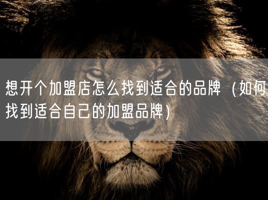 想开个加盟店怎么找到适合的品牌(如何找到适合自己的加盟品牌)(图1) 想开个加盟店怎么找到适合的品牌(如何找到适合自己的加盟品牌)(图1)