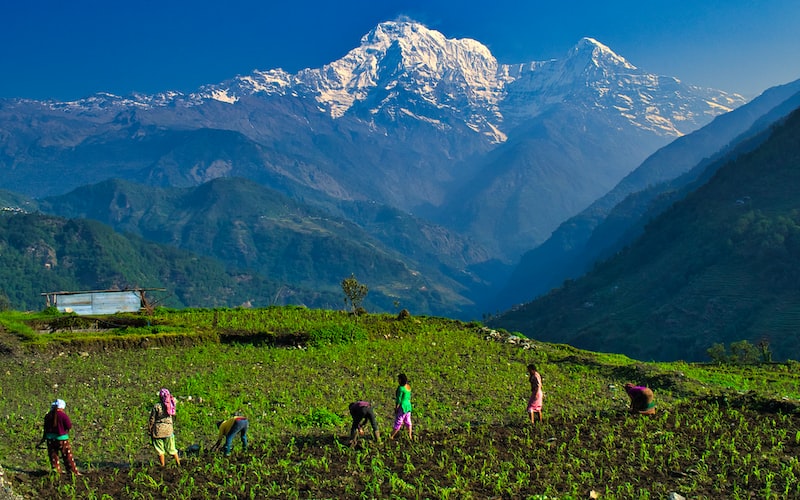 廖光义将军的生平事迹（廖光义将军事迹概述）(图2)