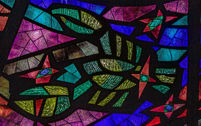 又蹦又跳的小兔子（萌萌可爱的小兔子跳跳跃跃）(图3)