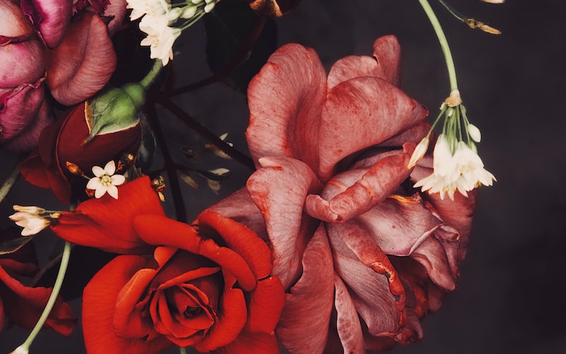 封司夜颜汐的重生小说名字（重生小说推荐）(图2)