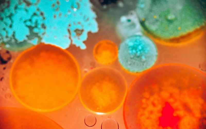 请组词一年级（小学一年级学科设置）(图4)