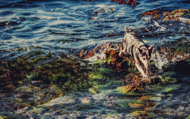 县的部首（中国县级行政区划的字头解析）(图1)