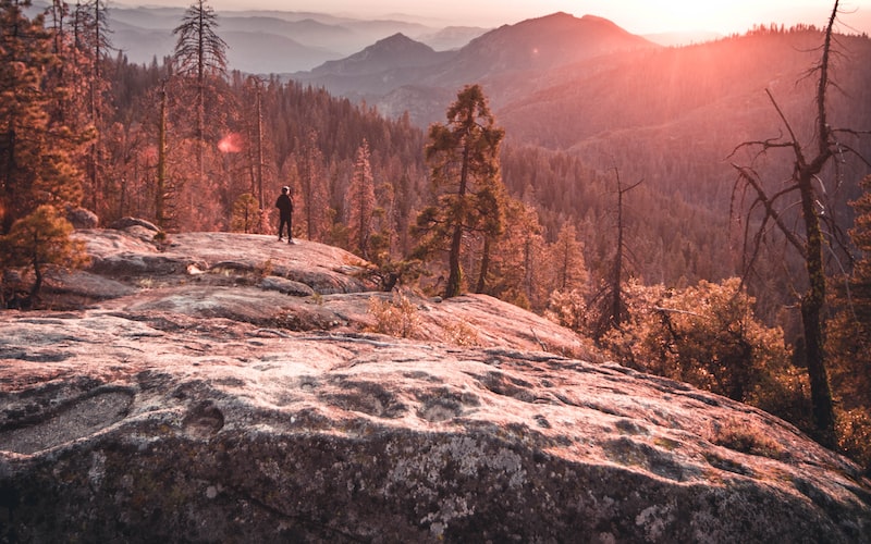 大暑时间是什么时候（2021年大暑日期时间表）(图4)