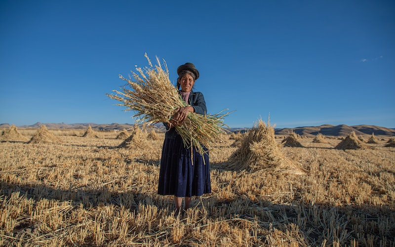 大暑时间是什么时候（2021年大暑日期时间表）(图7)