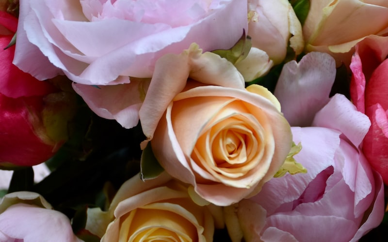 什么的身影(寻找真正的自我)(图5)