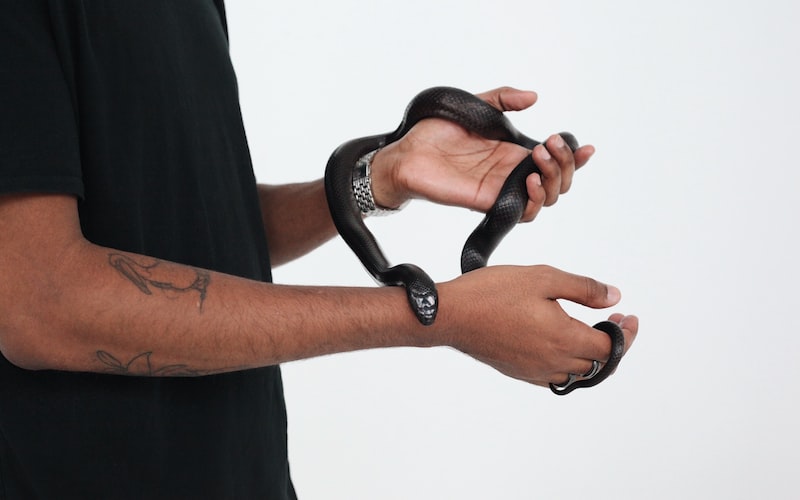 十面埋伏是什么生肖（千年古刹传说）(图5)