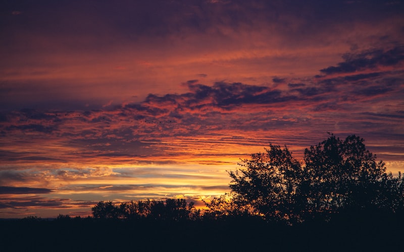 熹光是什么意思（熹光定义解析）(图1)