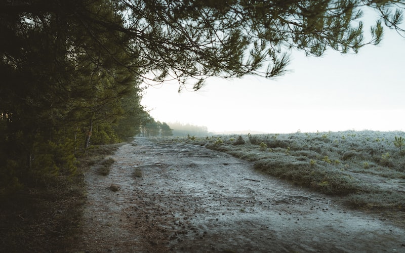 熹光是什么意思（熹光定义解析）(图2)