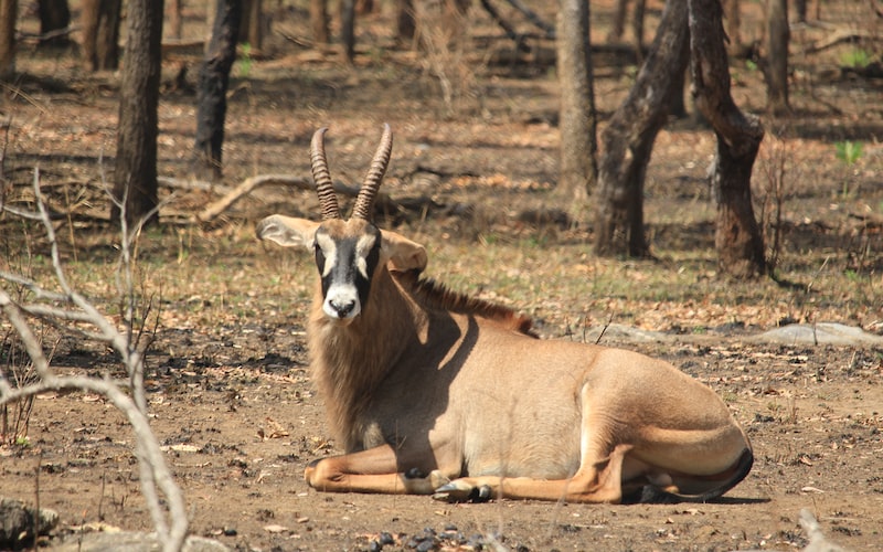 东南北地很危险打一地名：（危险的旅游胜地）(图1)
