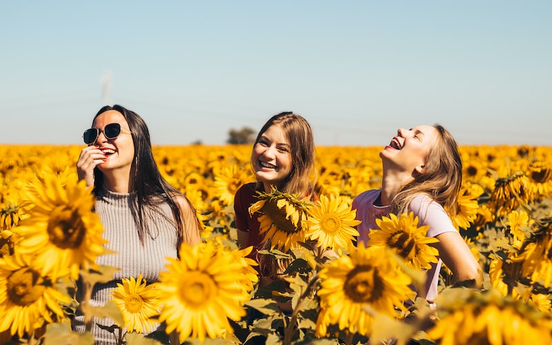 君子莫大乎与人为善（修身养性的境界）(图4)