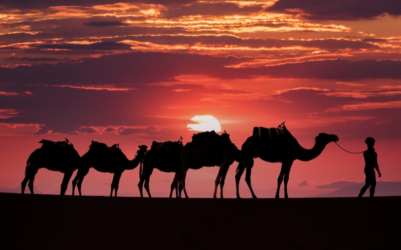 **戈壁（荒野远征之旅）(图2)