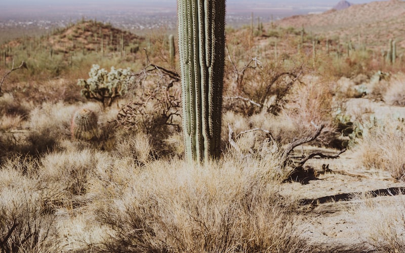 **戈壁（荒野远征之旅）(图3)