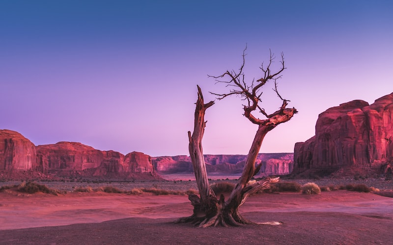 **戈壁（荒野远征之旅）(图4)