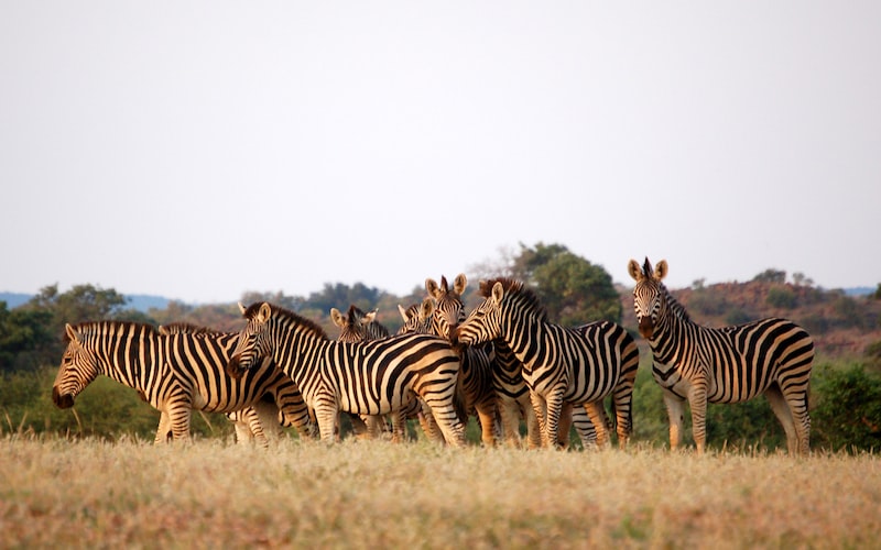 御龙在天怎么秒皇榜（轻松刷皇榜攻略）(图3)