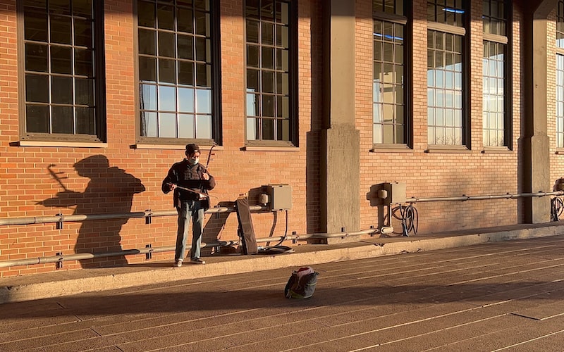 二胡卵子的含义（解读二胡卵子）(图1)