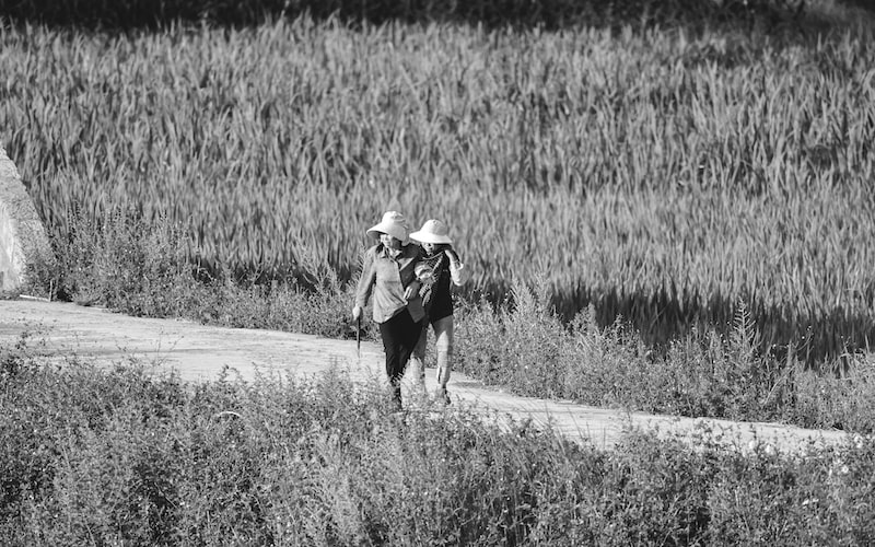 播种读音（中文及英文发音详解）(图1)