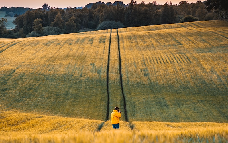 播种读音（中文及英文发音详解）(图3)