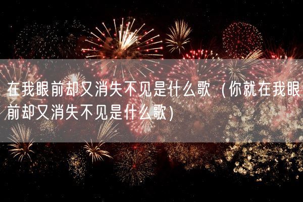 在我眼前却又消失不见是什么歌（你就在我眼前却又消失不见是什么歌）(图1)