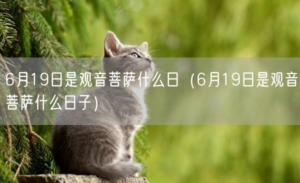6月19日是观音菩萨什么日(6月19日是观音菩萨什么日子)(图1) 6月19日是观音菩萨什么日(6月19日是观音菩萨什么日子)(图1)