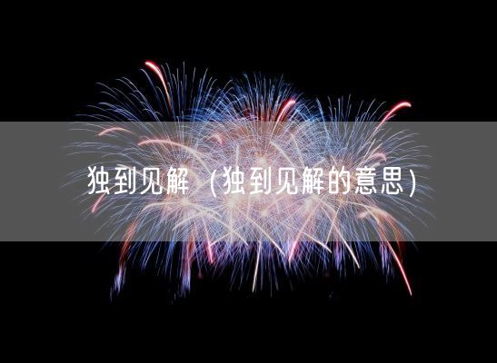 独到见解（独到见解的意思）(图1)