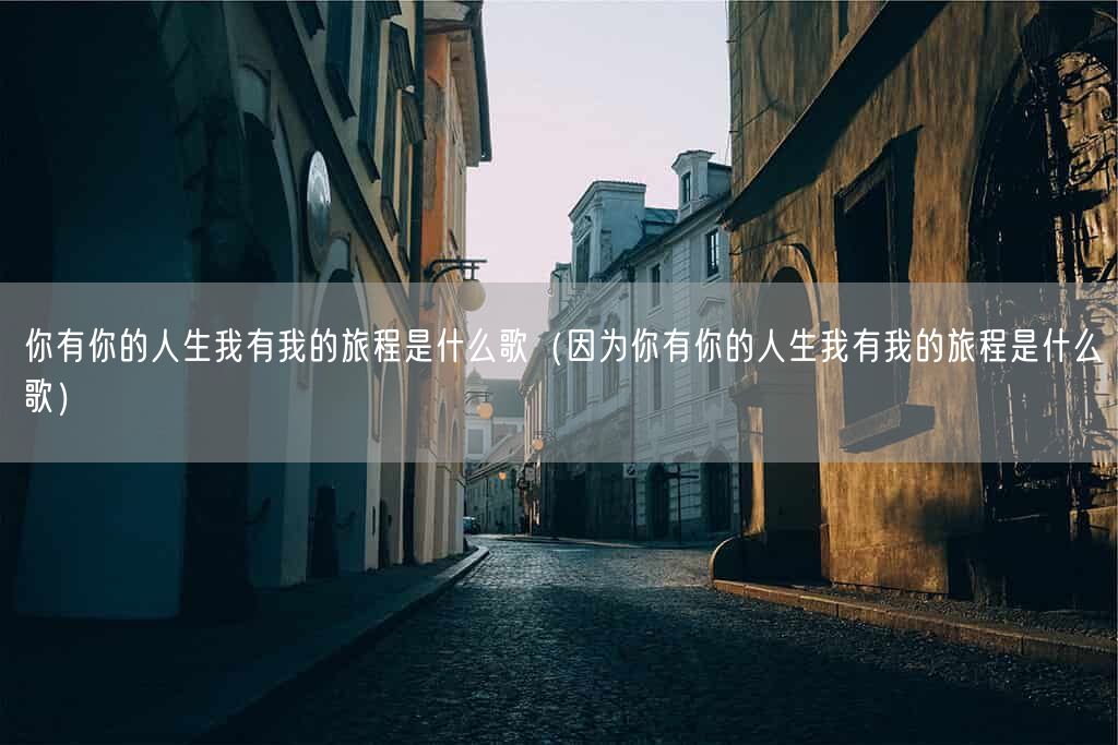 你有你的人生我有我的旅程是什么歌（因为你有你的人生我有我的旅程是什么歌）(图1)