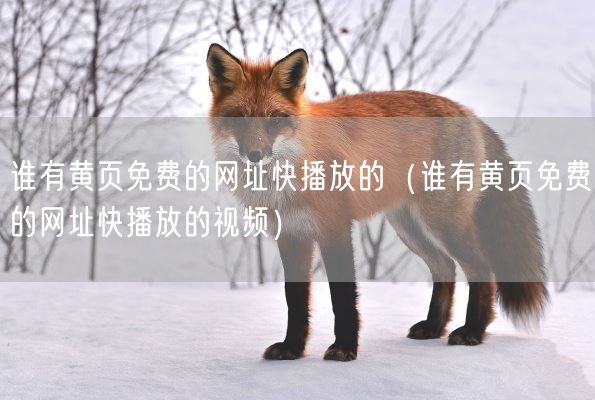 谁有黄页免费的网址快播放的（谁有黄页免费的网址快播放的视频）(图1)