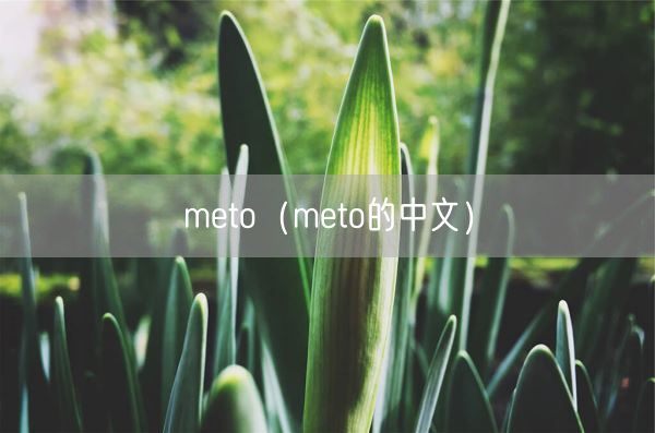 meto(meto的中文)(图1) meto(meto的中文)(图1)