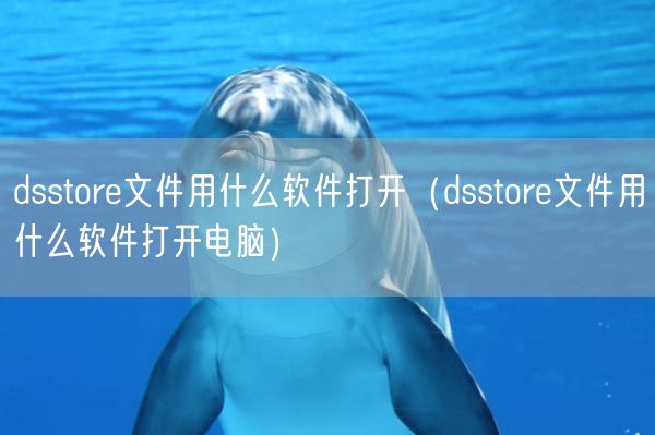 dsstore文件用什么软件打开(dsstore文件用什么软件打开电脑)(图1) dsstore文件用什么软件打开(dsstore文件用什么软件打开电脑)(图1)