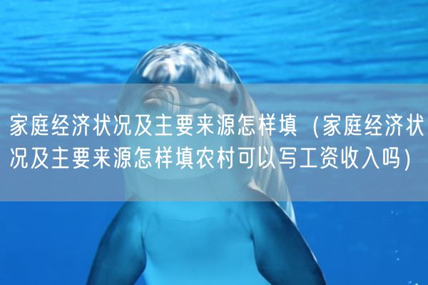 家庭经济状况及主要来源怎样填（家庭经济状况及主要来源怎样填农村可以写工资收入吗）(图1)