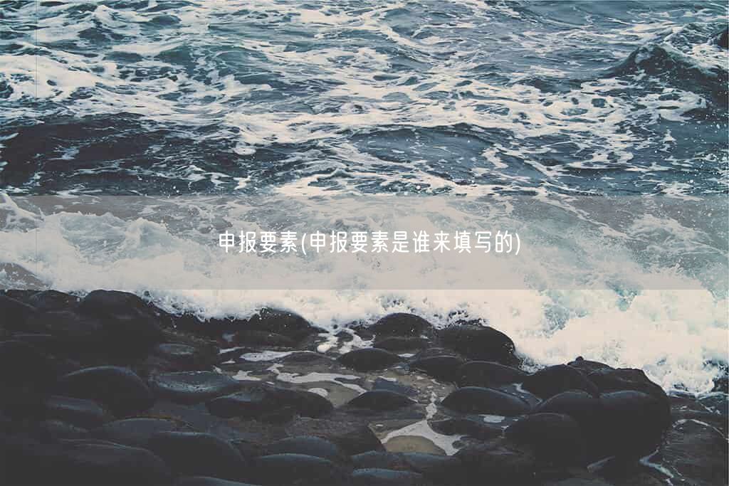 申报要素(申报要素是谁来填写的)(图1)