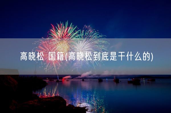 高晓松 国籍(高晓松到底是干什么的)(图1)
