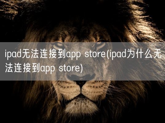 ipad无法连接到app store(ipad为什么无法连接到app store)(图1)