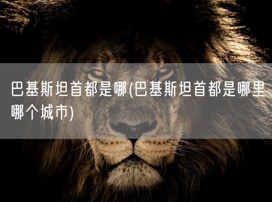 巴基斯坦首都是哪(巴基斯坦首都是哪里哪个城市)(图1)