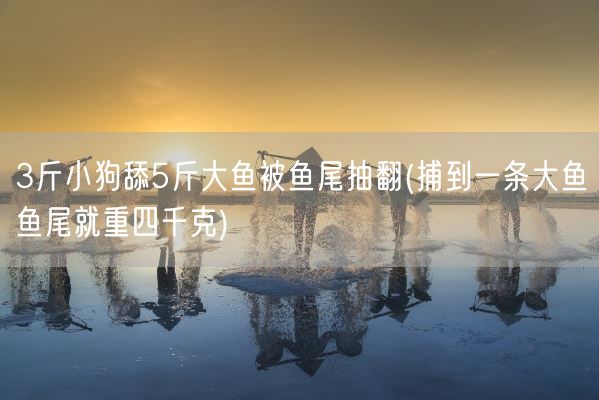 3斤小狗舔5斤大鱼被鱼尾抽翻(捕到一条大鱼鱼尾就重四千克)(图1)