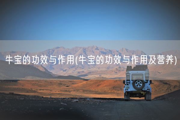 牛宝的功效与作用(牛宝的功效与作用及营养)(图1)