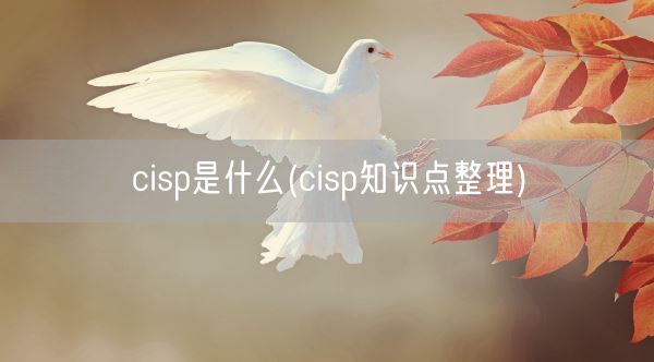 cisp是什么(cisp知识点整理)(图1)