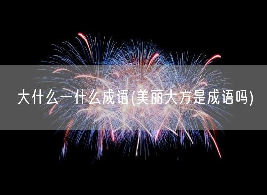 大什么一什么成语(美丽大方是成语吗)(图1)